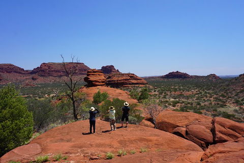 Palm Valley And Hermannsburg 1 Day 4WD Tour - Restaurant Gold Coast 2