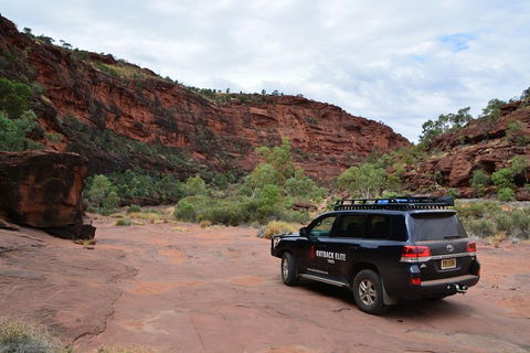 Palm Valley And Hermannsburg 1 Day 4WD Tour - Restaurant Gold Coast 5