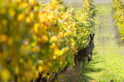 Margaret River 3 Day Escape - Restaurant Gold Coast 4