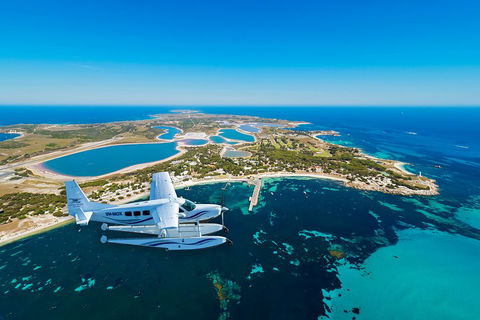 Full Day Tour By Seaplane To Rottnest Island Small Group Trip - Restaurant Gold Coast 1