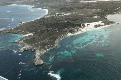 Full Day Tour By Seaplane To Rottnest Island Small Group Trip - Restaurant Gold Coast 5
