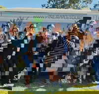 Full Day Mount Tamborine Winery Tour from Gold Coast - Restaurant Gold Coast