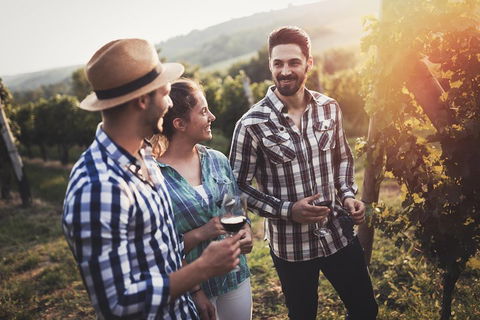 Full Day Mount Tamborine Winery Tour From Gold Coast - Restaurant Gold Coast 5