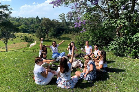 Full Day Mount Tamborine Winery Tour From Brisbane - Restaurant Gold Coast 4