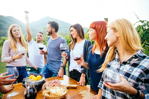 Full Day Mount Tamborine Winery Tour From Brisbane - Restaurant Gold Coast 5