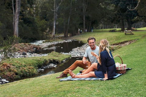 Mt Tamborine - Hinterland Wonders Self Guided - Restaurant Gold Coast 0