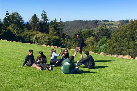 Mt Tamborine - Hinterland Wonders Self Guided - Restaurant Gold Coast 1