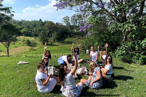 Mt Tamborine - Hinterland Wonders Self Guided - Restaurant Gold Coast 5