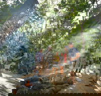 Mossman Gorge Adventure Day - Restaurant Gold Coast