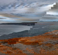 Kangaroo Island Luxury Small Group 'Flinders Chase Focus' Full Day Tour - Restaurant Gold Coast