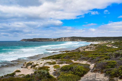 Kangaroo Island Luxury Small Group 'East End Explorer' Full Day Tour - Restaurant Gold Coast 0