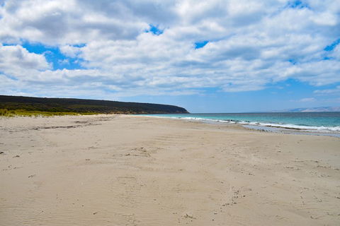 Kangaroo Island Luxury Small Group 'East End Explorer' Full Day Tour - Restaurant Gold Coast 3