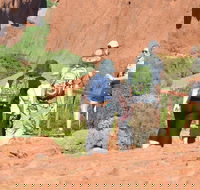 Afternoon Kata Tjuta Small Group Tour - Restaurant Gold Coast