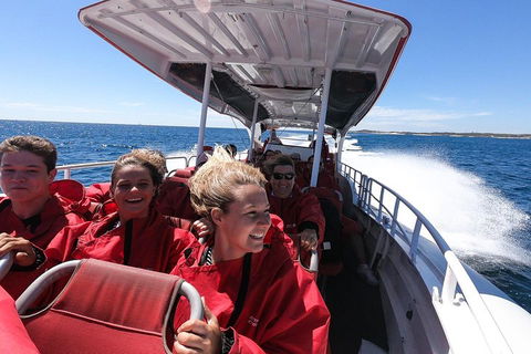 Adventure Rottnest Tour With Ferry & Adventure Cruise From Perth Or Fremantle - Restaurant Gold Coast 0