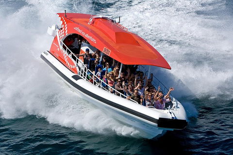 Adventure Rottnest Tour With Ferry & Adventure Cruise From Perth Or Fremantle - Restaurant Gold Coast 2