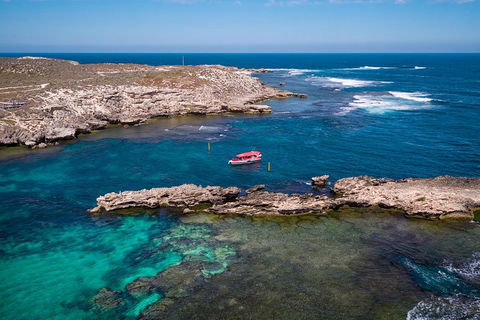 Adventure Rottnest Tour With Ferry & Adventure Cruise From Perth Or Fremantle - Restaurant Gold Coast 3