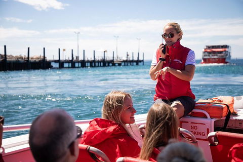 Adventure Rottnest Tour With Ferry & Adventure Cruise From Perth Or Fremantle - Restaurant Gold Coast 4