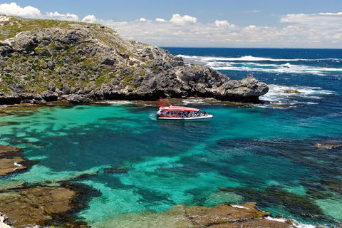 Adventure Rottnest Tour With Ferry & Adventure Cruise From Perth Or Fremantle - Restaurant Gold Coast 5