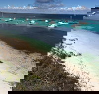 Experience Rottnest with Ferry  Bike Hire from Perth or Fremantle - Restaurant Gold Coast