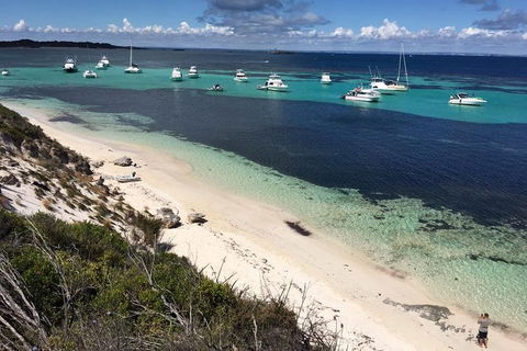 Experience Rottnest With Ferry & Bike Hire From Perth Or Fremantle - Restaurant Gold Coast 0