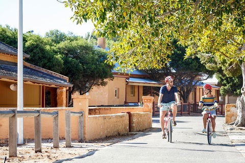 Experience Rottnest With Ferry & Bike Hire From Perth Or Fremantle - Restaurant Gold Coast 1