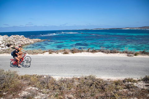 Experience Rottnest With Ferry & Bike Hire From Perth Or Fremantle - Restaurant Gold Coast 2