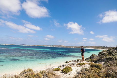 Experience Rottnest With Ferry & Bike Hire From Perth Or Fremantle - Restaurant Gold Coast 3