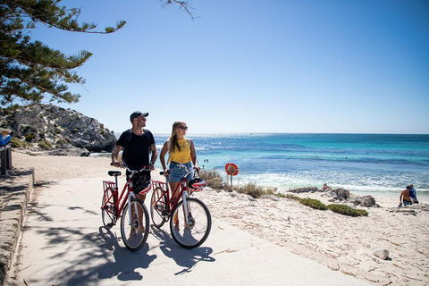 Experience Rottnest With Ferry & Bike Hire From Perth Or Fremantle - Restaurant Gold Coast 4