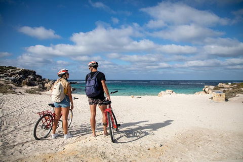 Experience Rottnest With Ferry & Bike Hire From Perth Or Fremantle - Restaurant Gold Coast 5