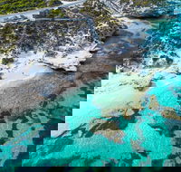 Rottnest Island Round-Trip Ferry from Perth or Fremantle - Restaurant Gold Coast