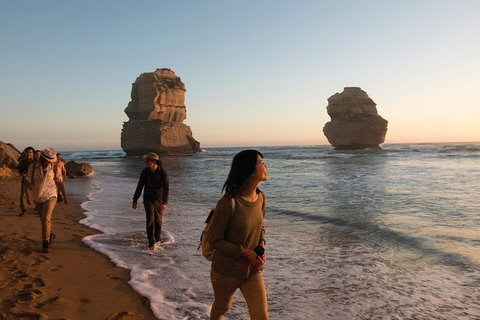 Full-Day Great Ocean Road And 12 Apostles Sunset Tour From Melbourne - Restaurant Gold Coast 4