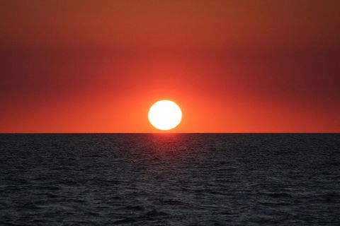 Roebuck Bay Snubfin Dolphin Cruise - Restaurant Gold Coast 3