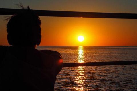 Roebuck Bay Snubfin Dolphin Cruise - Restaurant Gold Coast 4