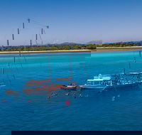 Ocean Free Green Island  Great Barrier Reef Snorkel Cruise Cairns 25 guests - Restaurant Gold Coast