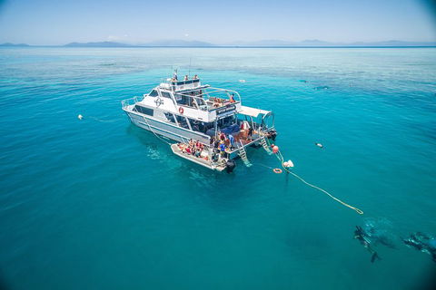 Ocean Freedom Great Barrier Reef Personal Luxury Snorkel & Dive Cruise, Cairns - Restaurant Gold Coast 0