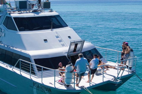 Ocean Freedom Great Barrier Reef Personal Luxury Snorkel & Dive Cruise, Cairns - Restaurant Gold Coast 1