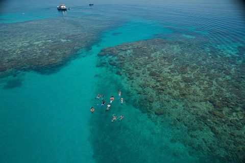 Ocean Freedom Great Barrier Reef Personal Luxury Snorkel & Dive Cruise, Cairns - Restaurant Gold Coast 3