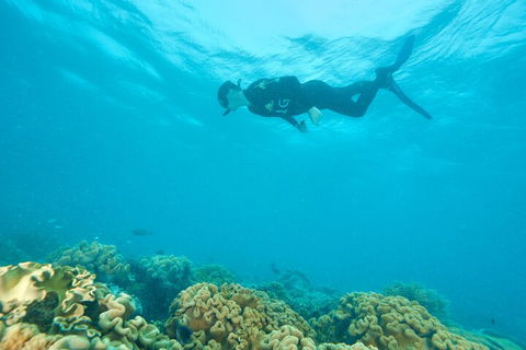 Ocean Freedom Great Barrier Reef Personal Luxury Snorkel & Dive Cruise, Cairns - Restaurant Gold Coast 5