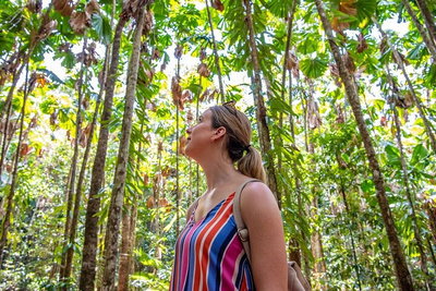 5 Day Australia Retreat Queensland Daintree