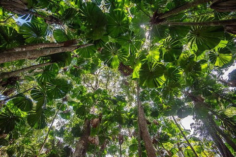 5 Day Australia Retreat: Queensland Daintree - Restaurant Gold Coast 2