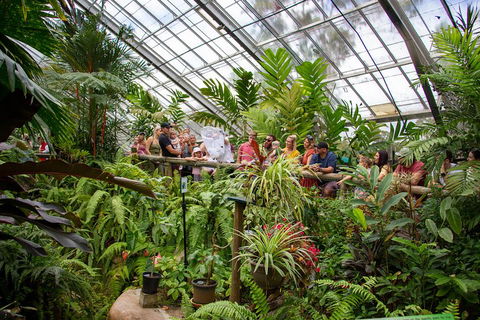 Australian Butterfly Sanctuary - Restaurant Gold Coast 0