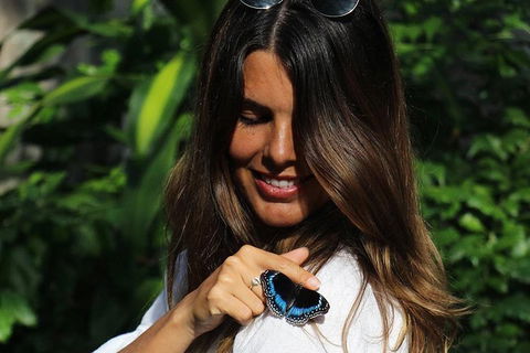 Australian Butterfly Sanctuary - Restaurant Gold Coast 2