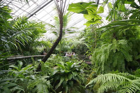 Australian Butterfly Sanctuary - Restaurant Gold Coast 3