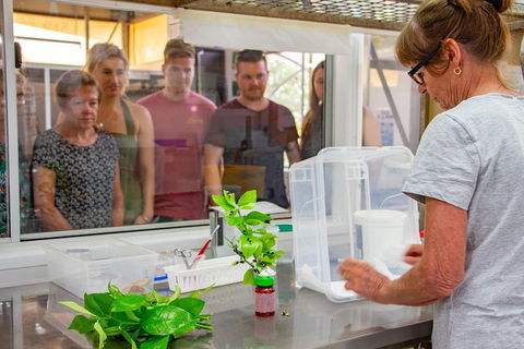 Australian Butterfly Sanctuary - Restaurant Gold Coast 5