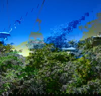 Classic Kuranda by Skyrail and Scenic Railway Including Rainforestation Koala and Wildlife Park and Pamagirri Aboriginal Experi - Restaurant Gold Coast