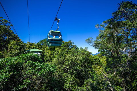 Classic Kuranda By Skyrail And Scenic Railway Including Rainforestation, Koala And Wildlife Park And Pamagirri Aboriginal Experi - Restaurant Gold Coast 0