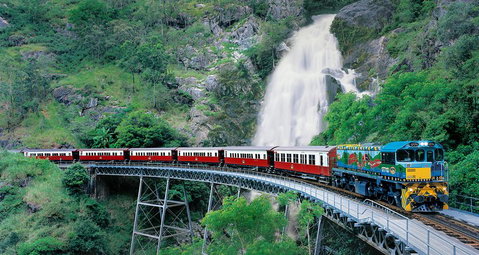 Classic Kuranda By Skyrail And Scenic Railway Including Rainforestation, Koala And Wildlife Park And Pamagirri Aboriginal Experi - Restaurant Gold Coast 1