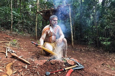 Kuranda Highlights including Rainforestation Aboriginal Culture and Wildlife