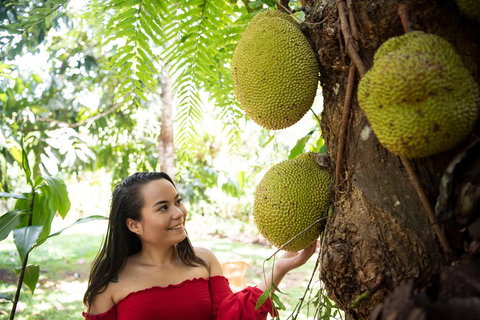 Kuranda Village, Army Duck Tour With Train And Skyrail (KDB) - Restaurant Gold Coast 2