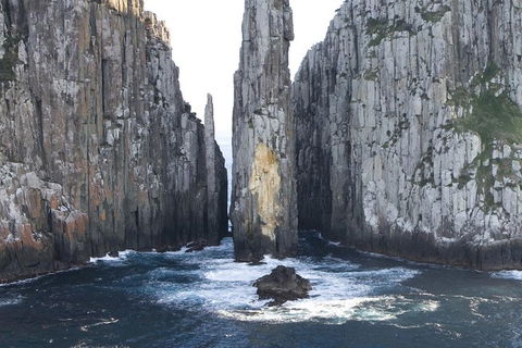 Tasman Island Cruises And Port Arthur Historic Site Day Tour From Hobart - Restaurant Gold Coast 2